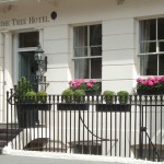 Peggy Porschen alrededores Ebury Street Belgravia