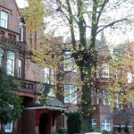 Londres en otoño hileras de casas