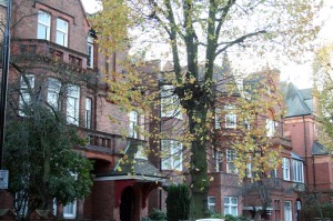 Londres en otoño hileras de casas