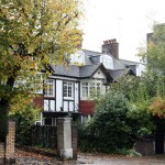 Londres en otoño Árboles amarillos