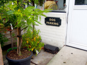 fotos de Cliffton Nurseries perros